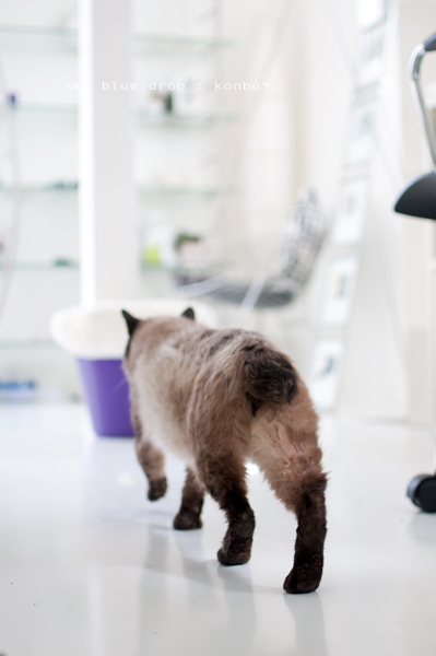 スキップスキップランランラン