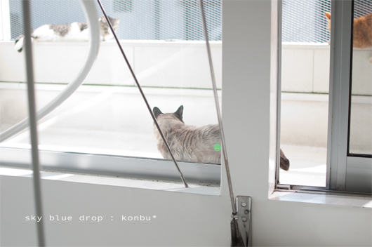 みなでなかよこ