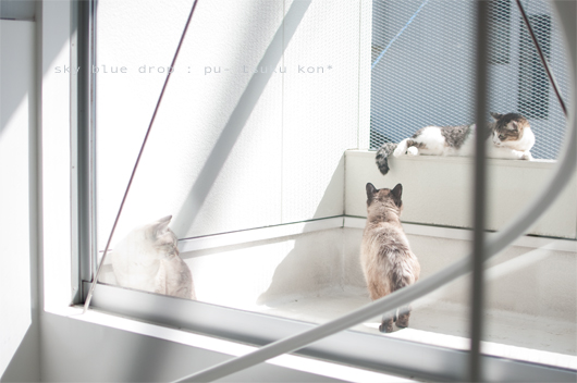 ダレダダレダ？