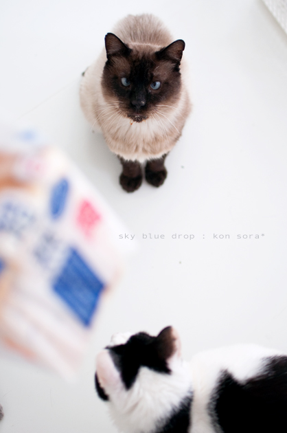 なにしてんの？？