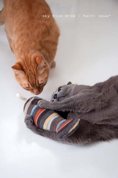 5時の方向から敵接近