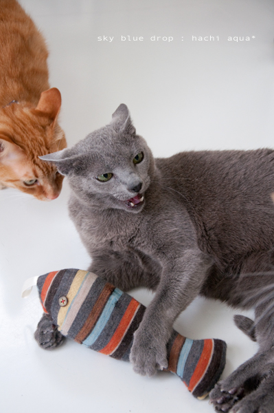 11時の方向から敵接近