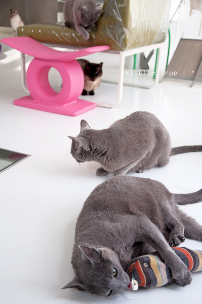 ずらずらずらり