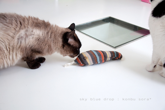 なんだっけかなぁ。。。