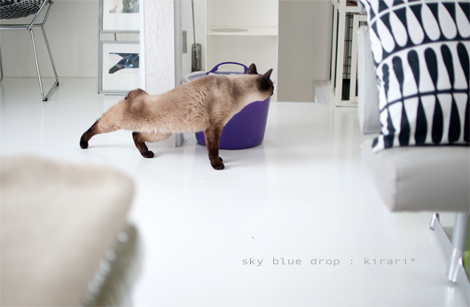 鼻唄ふんふん超ごきげん