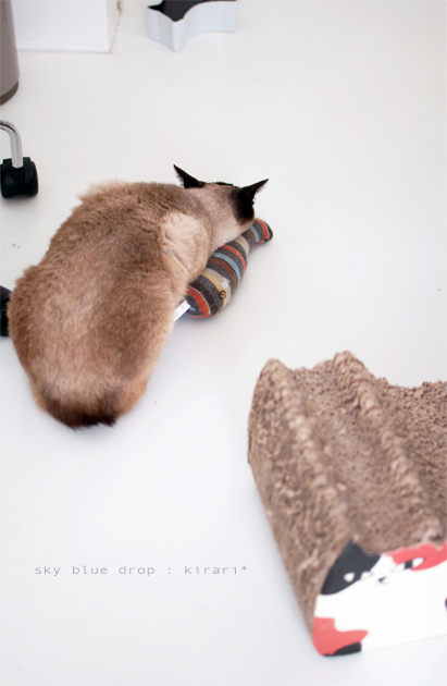 あごんとこ最高☆