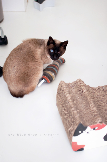 ハッとしてぐー