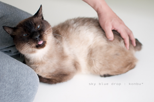 舌が出たり入ったり