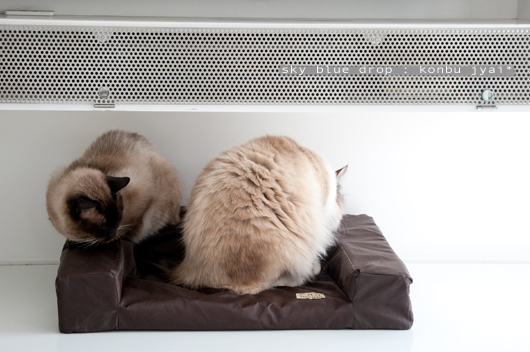 ちょいと失礼しやすよ