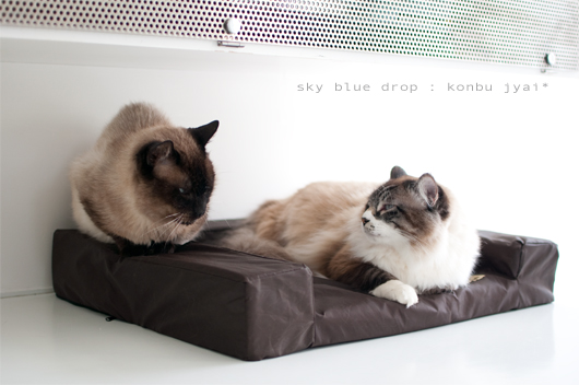 ホワイ?ホワイ?ホワーイ?