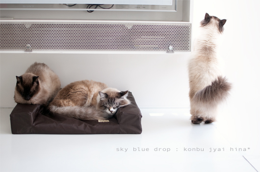 興味ないもんと見せかけて