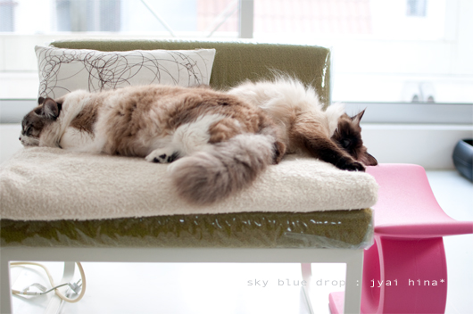 似てそで似てない