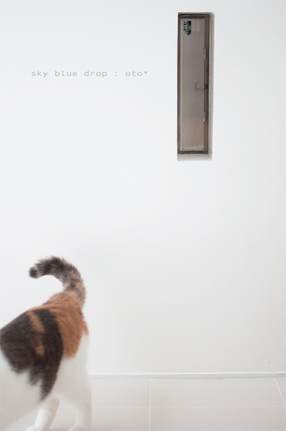 パラレルワールドへの入口