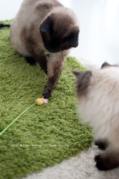 じぃじとひなた2