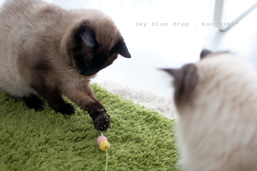 じぃじとひなた3