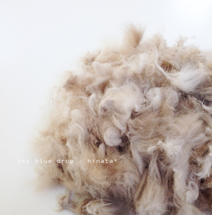 もさもさ分身の術