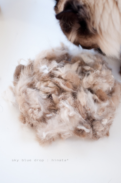 ニホイチェック