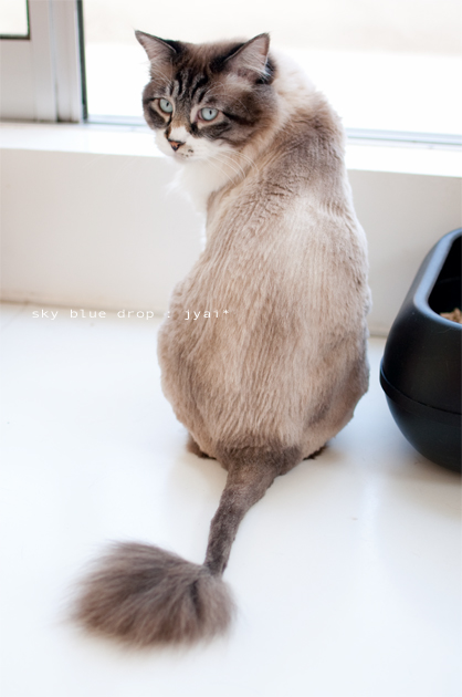 え？え？？ええええ？？？