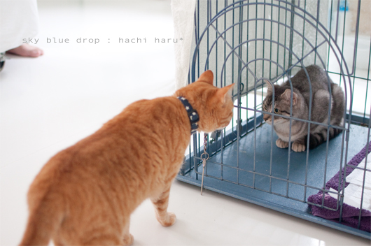 言い聞かせちう♪