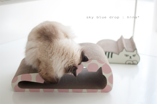 宝物の隠し場所