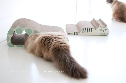 夢の国への入り口