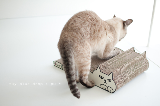 ナイスなとぎ心地