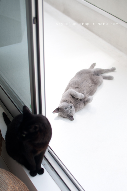 ぷかぷか浮いてる夢みてる