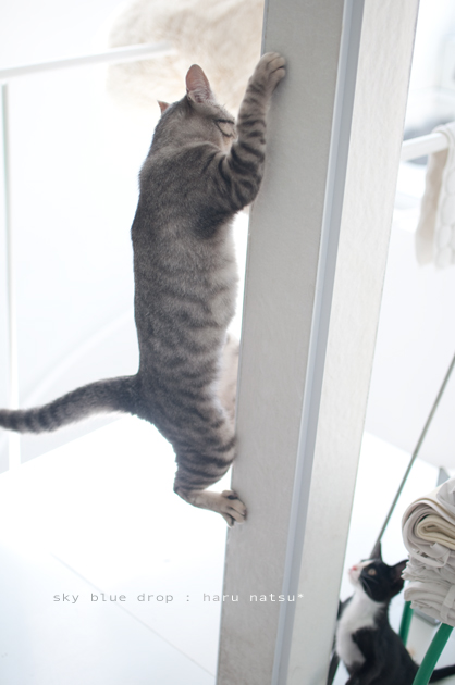 こっちこっち♪