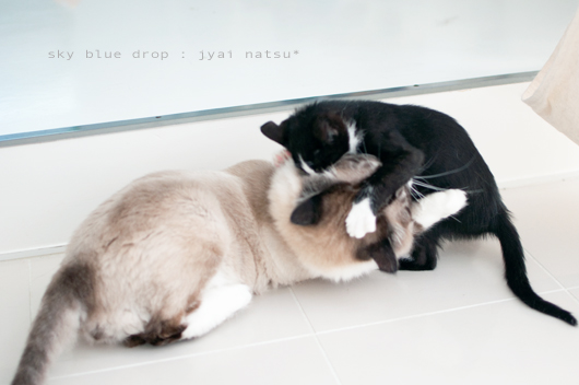 これも味見か？？