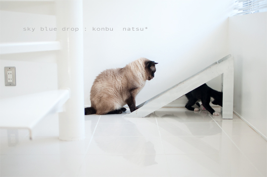 じいじがちびつこに