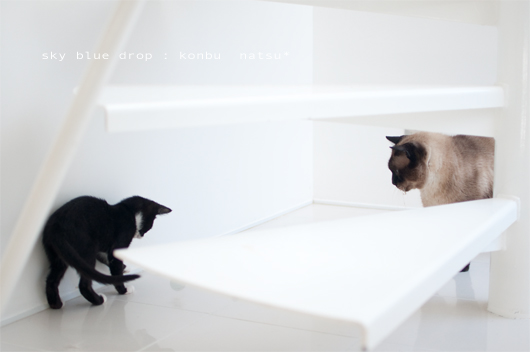 やさすぃんだね〜♪