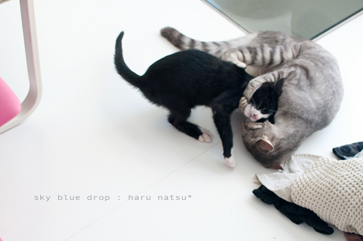 ヘッドロック!!