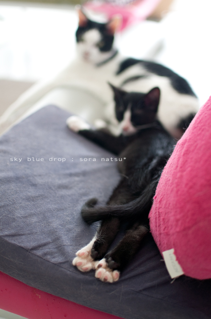 ふたたび..なやましポーズ