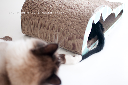 魅惑のちっぽ３