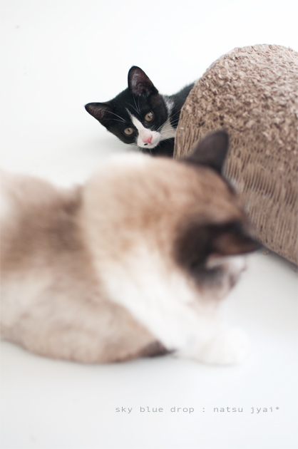 おじさんって一体。。