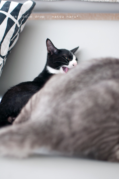 しておきなさいと