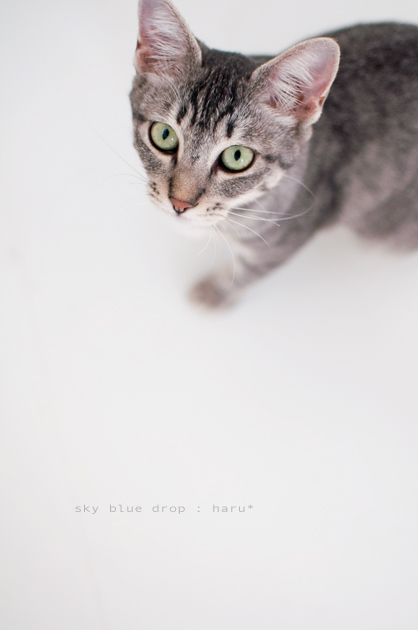 魅惑の上目遣い