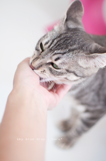 柔らかいトコ狙うぅ