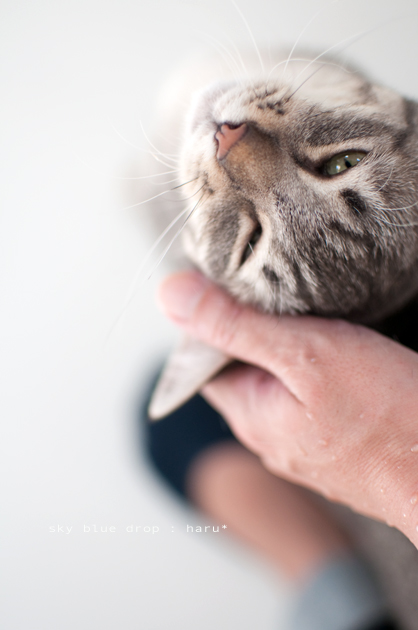 大好きなハルちゃん