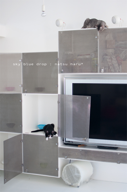 励ましちう〜♪