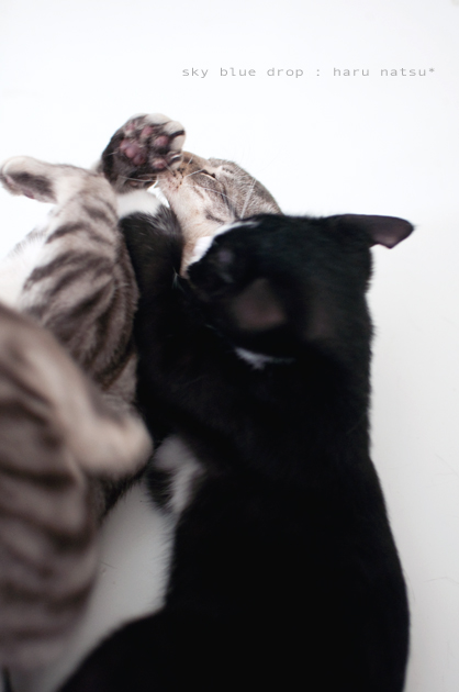 わかってんのかな？