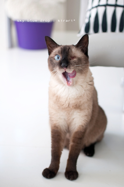 超びつくり！？