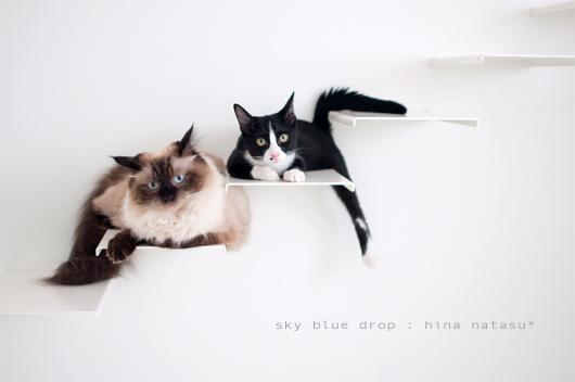 ねーさんとナッちゃん1