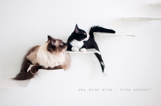 ねーさんとナッちゃん2