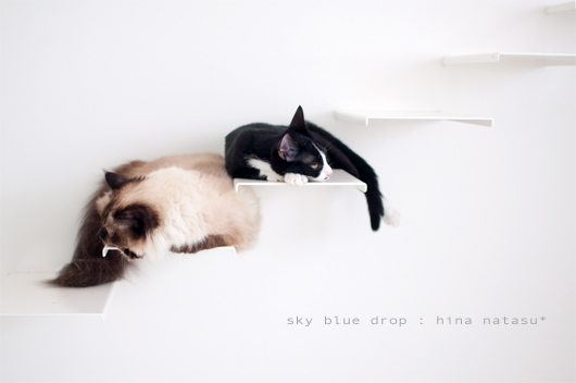 ねーさんとナッちゃん3