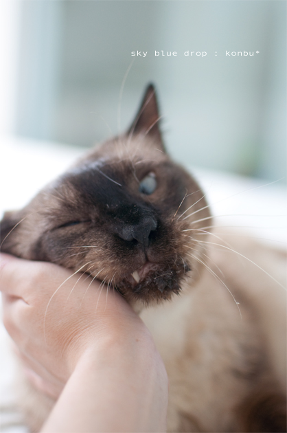 ふがふがぐいぐい