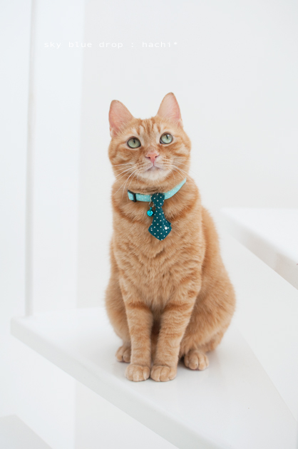 よそ見しちゃダメだぁ