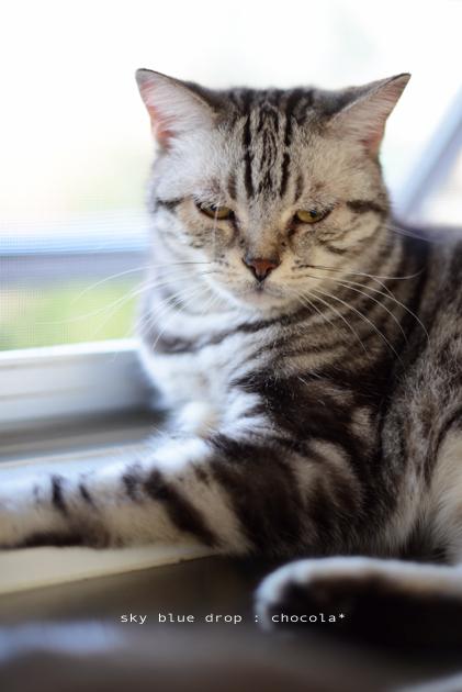 じぃーーーーー!