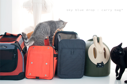 年期の入ったキャリー