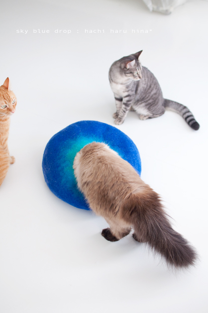 ナイスナヤーツ５